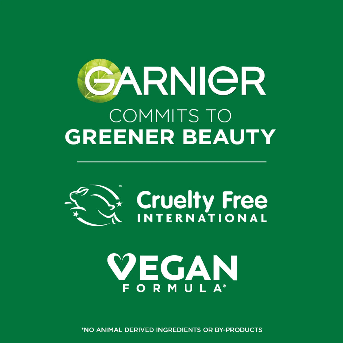 Garnier Micellar Water Oil-Infused Facial Cleanser and Waterproof Makeup Remover