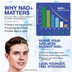 NAD+ Supplement