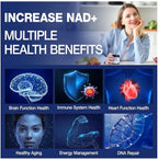 NAD+ Supplement