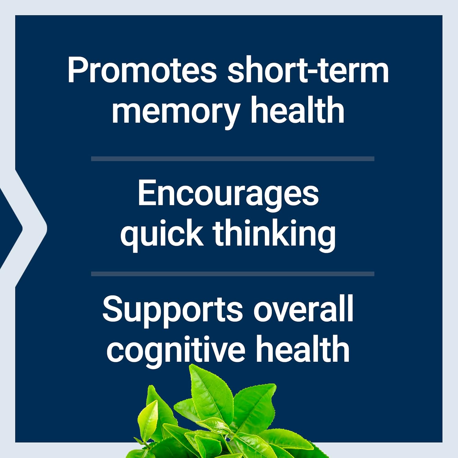 Life Extension Neuro-Mag Magnesium L-Threonate