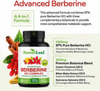 Berberine Supplement - 1300mg per Serving